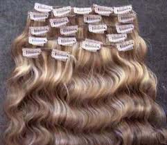 Remy Virgin Clip Hair