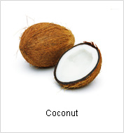 Coconut