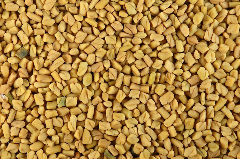 Fenugreek Seed