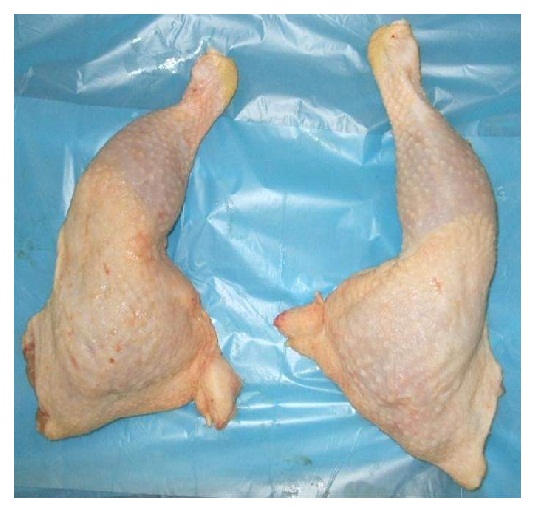 Frozen Chicken Leg Quarter