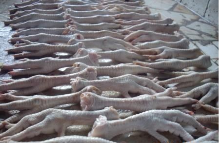 frozen chicken feet
