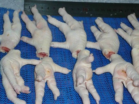 Processed Frozen Chicken Feet