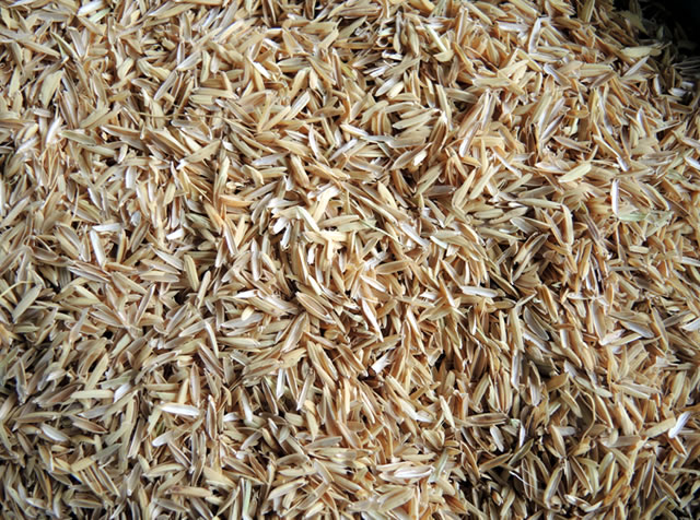 Rice Husk, for Nursery, Home garden, Office garden