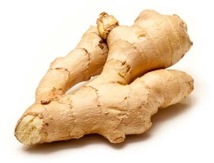 Fresh Ginger, for Pesticide Free, High Nutritive Value, Variety : Double Cleaned