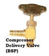 Brass Compressor Delivery Valve