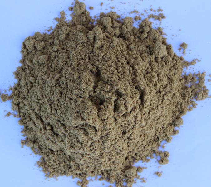 Coriander Seed  Powder