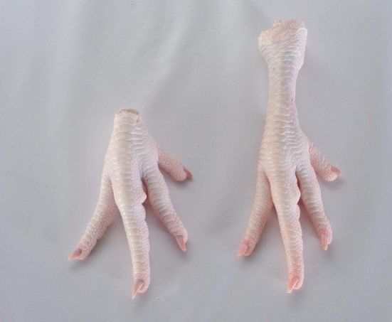 Frozen Chicken Feet by Elxahra Group, frozen chicken feet, USD 318
