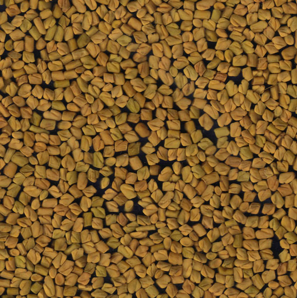 Fenugreek Seeds