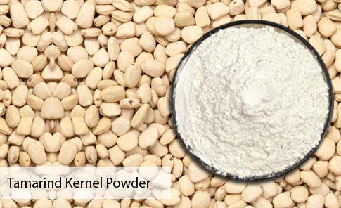Tamarind Kernel Powder, Shelf Life : 6Months