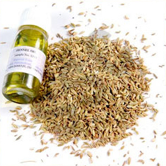 Fennel Oil