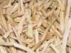 Asparagus Racemosus Extract, Shatavari Extract