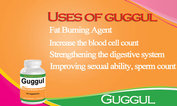 Benifits of Guggul Extract Capsule