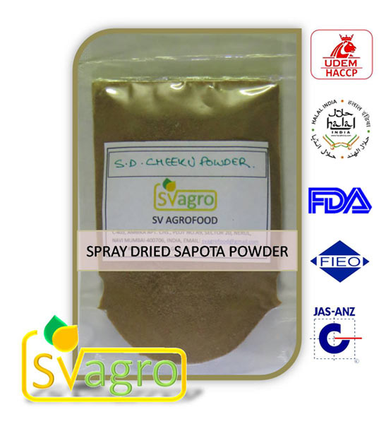 Chikoo Extract Powder