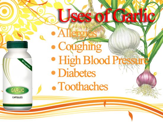 Herbal Supplement - Garlic Capsule