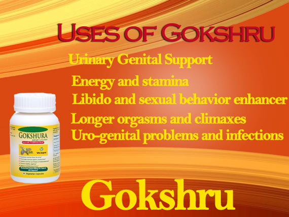 Herbal Supplement - Gokhru Tribulus Capsule in India