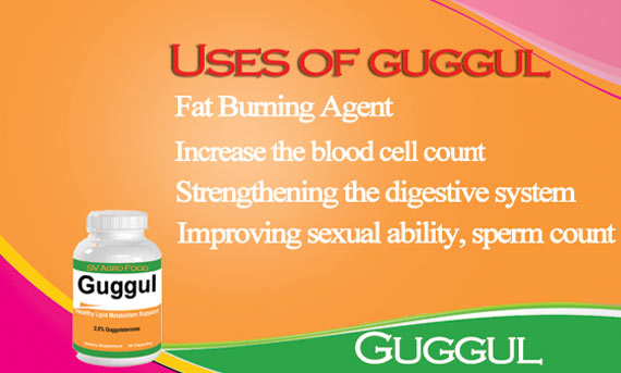 Herbal Supplement - Guggul Capsule