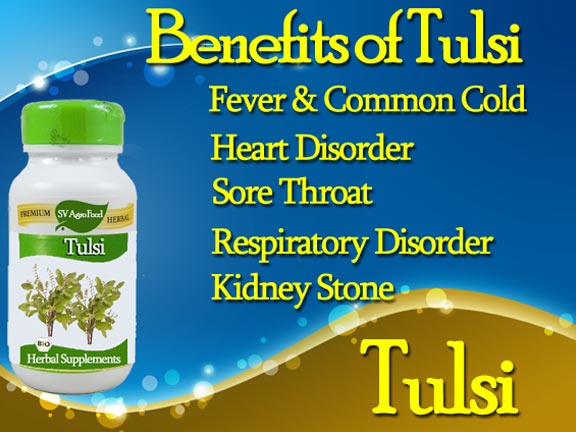 Herbal Supplement, Tulsi Capsule from India