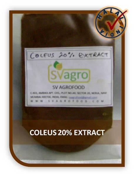 High Quality Coleus Forskohlii Extract