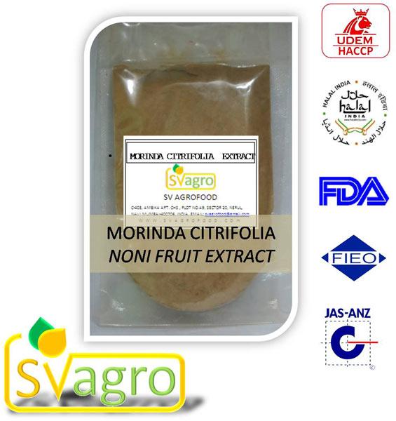 Morinda Citrifolia Extract