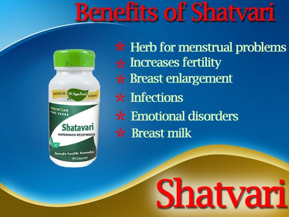 Shatawari Capsule