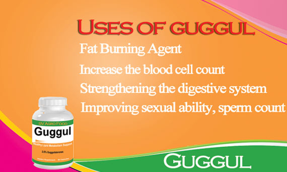 Use of Guggul Extract Capsule