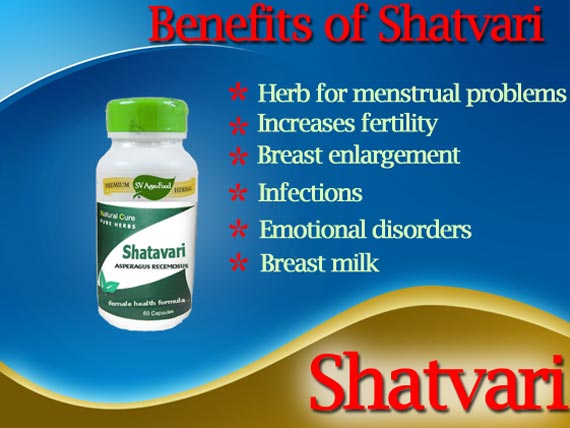 Uses of Shatawari Capsule from India