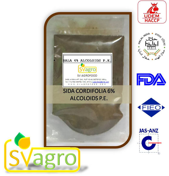 Sida Cordifolia Extract