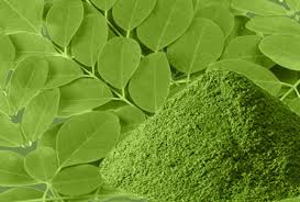 Pure Organic Certified Moringa Leaf Powder