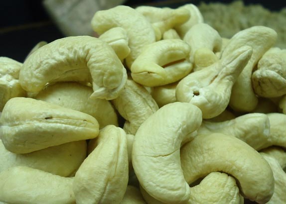 W210 grade Cashew Nut kernels
