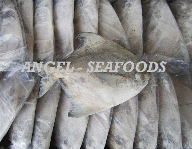 Packer's Brand Chinese Pomfret Fish