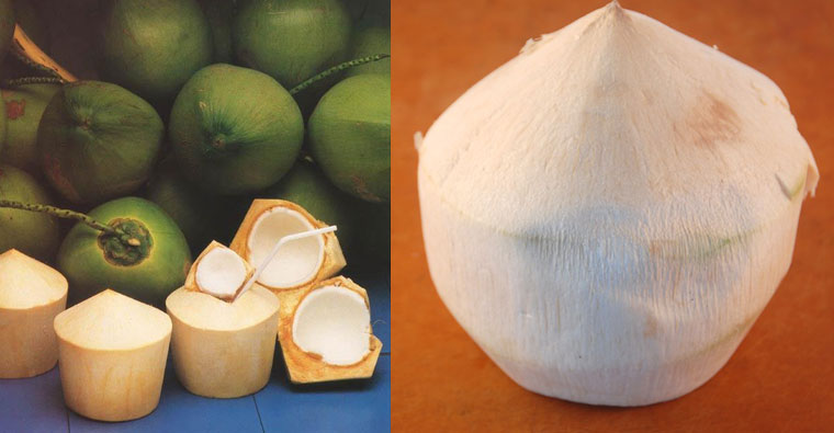 Trimmed Coconut