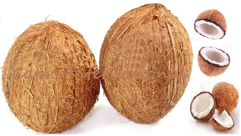 Dehusked Coconut