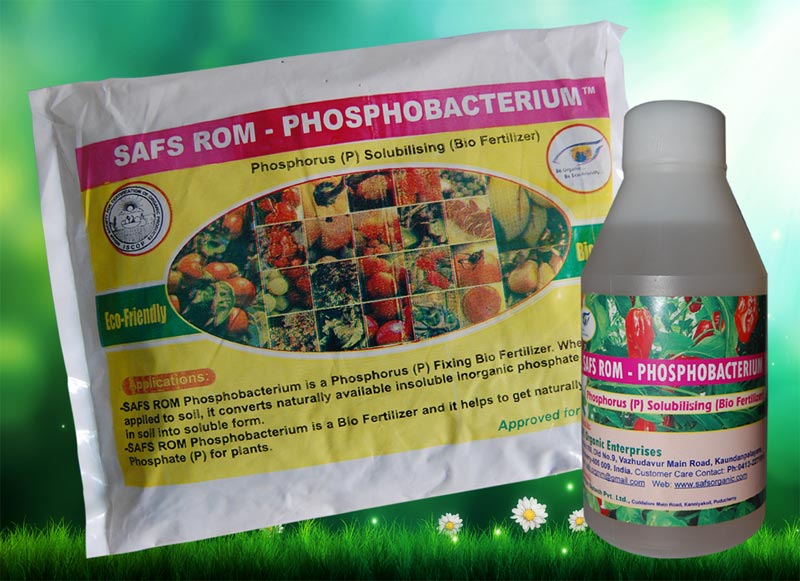 SAFS ROM – Phosphobacterium