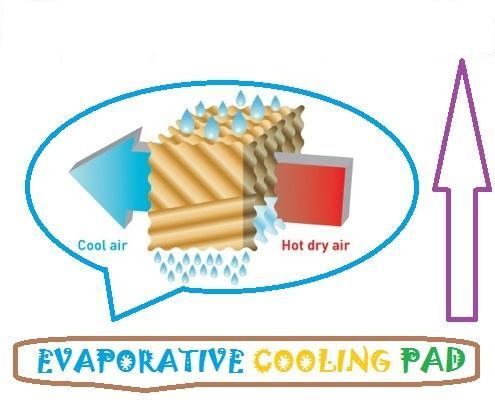 Evaporative Cooling Pad