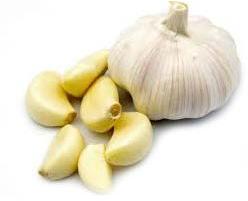 Fresh garlic