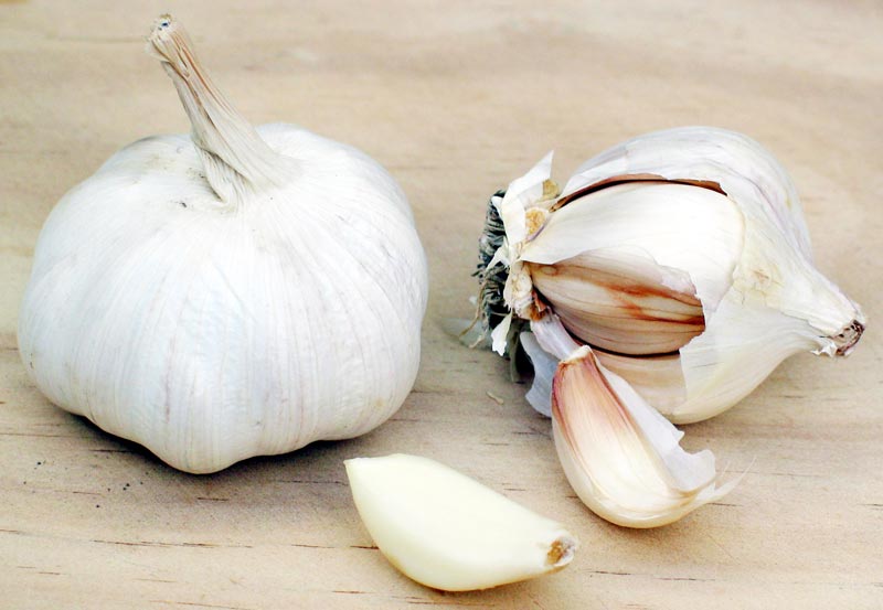 garlic