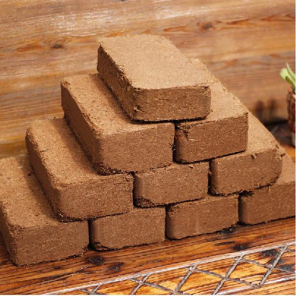 Coco Peat Bricks