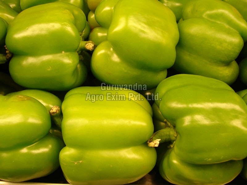 Oval Fresh Green Capsicum, for Cooking, Style : Natural