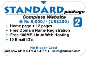 Web Promotion, Web Designing