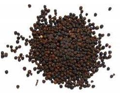 Black Pepper Seeds