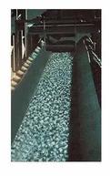 Oil Resistant Conveyor Belts