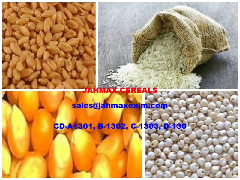 Cereals  and Pulses