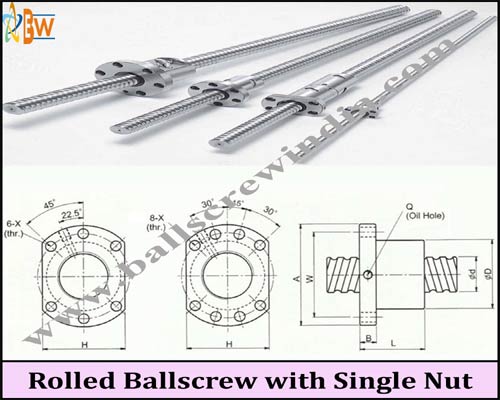 Rolled Ball Screw with Single Nut