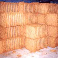 Coconut Coir Fiber