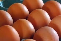 brown chicken eggs