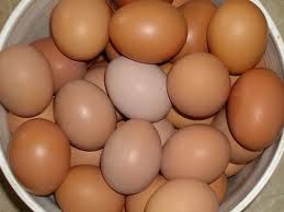Fresh Brown Eggs