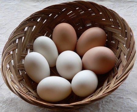 Fresh Chicken Eggs