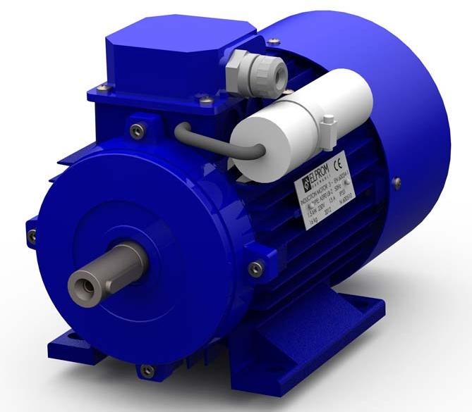 Single Phase Electric Motor