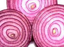 Egyptian Red Onion