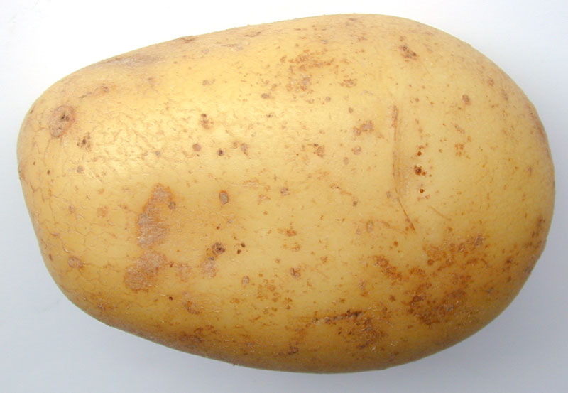 Potato, Color : Yellow